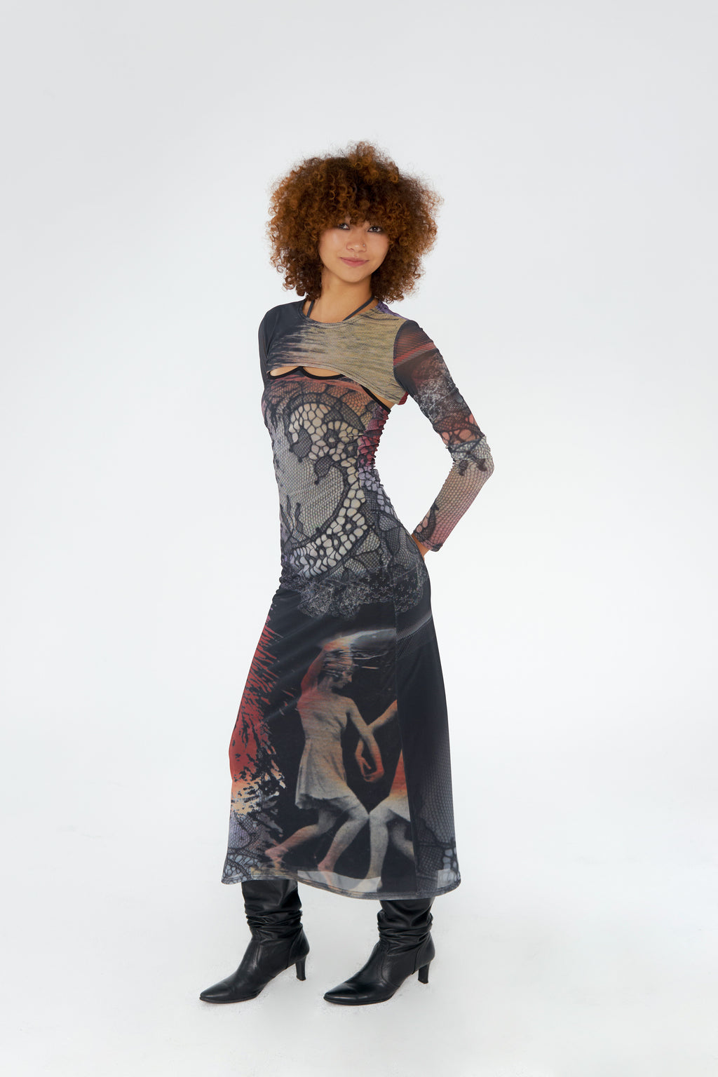 Swan Print Two-Piece Dress