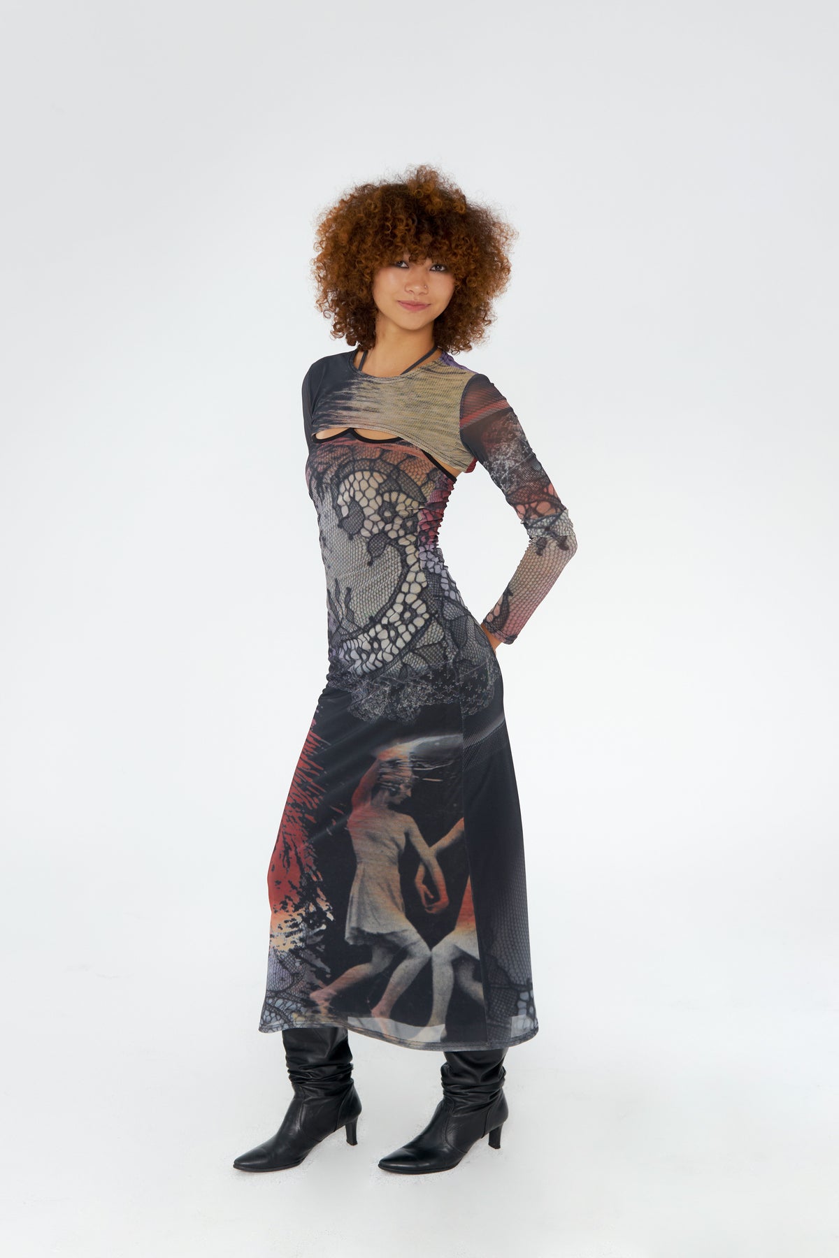 Swan Print Two-Piece Dress