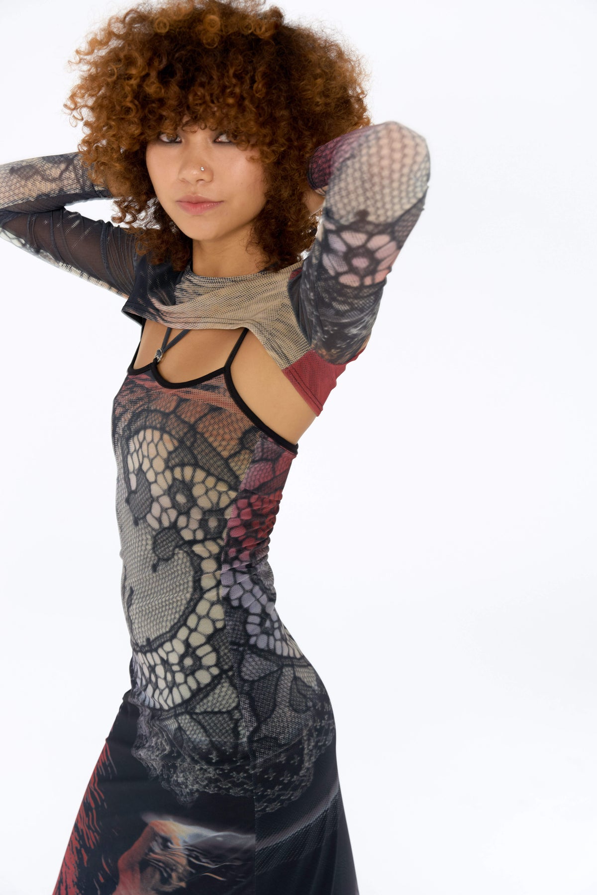 Swan Print Two-Piece Dress