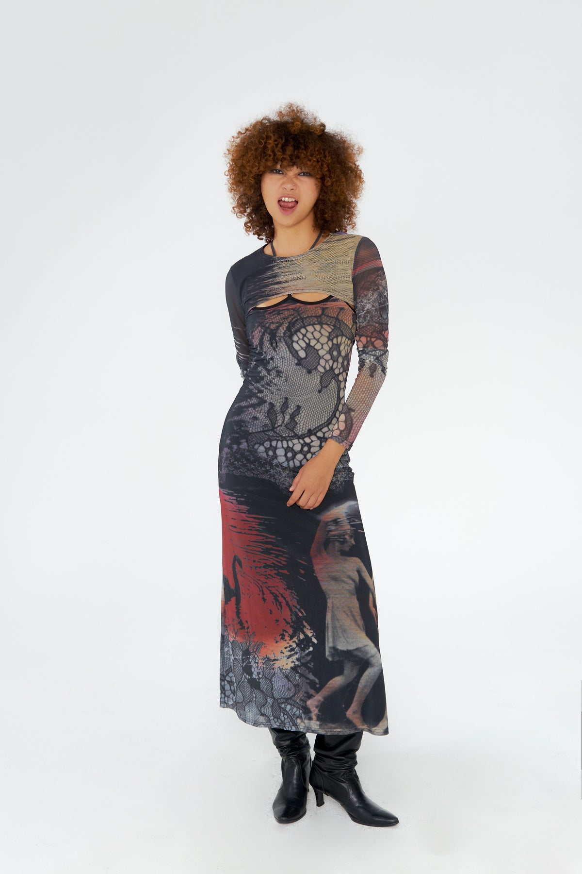 Swan Print Two-Piece Dress