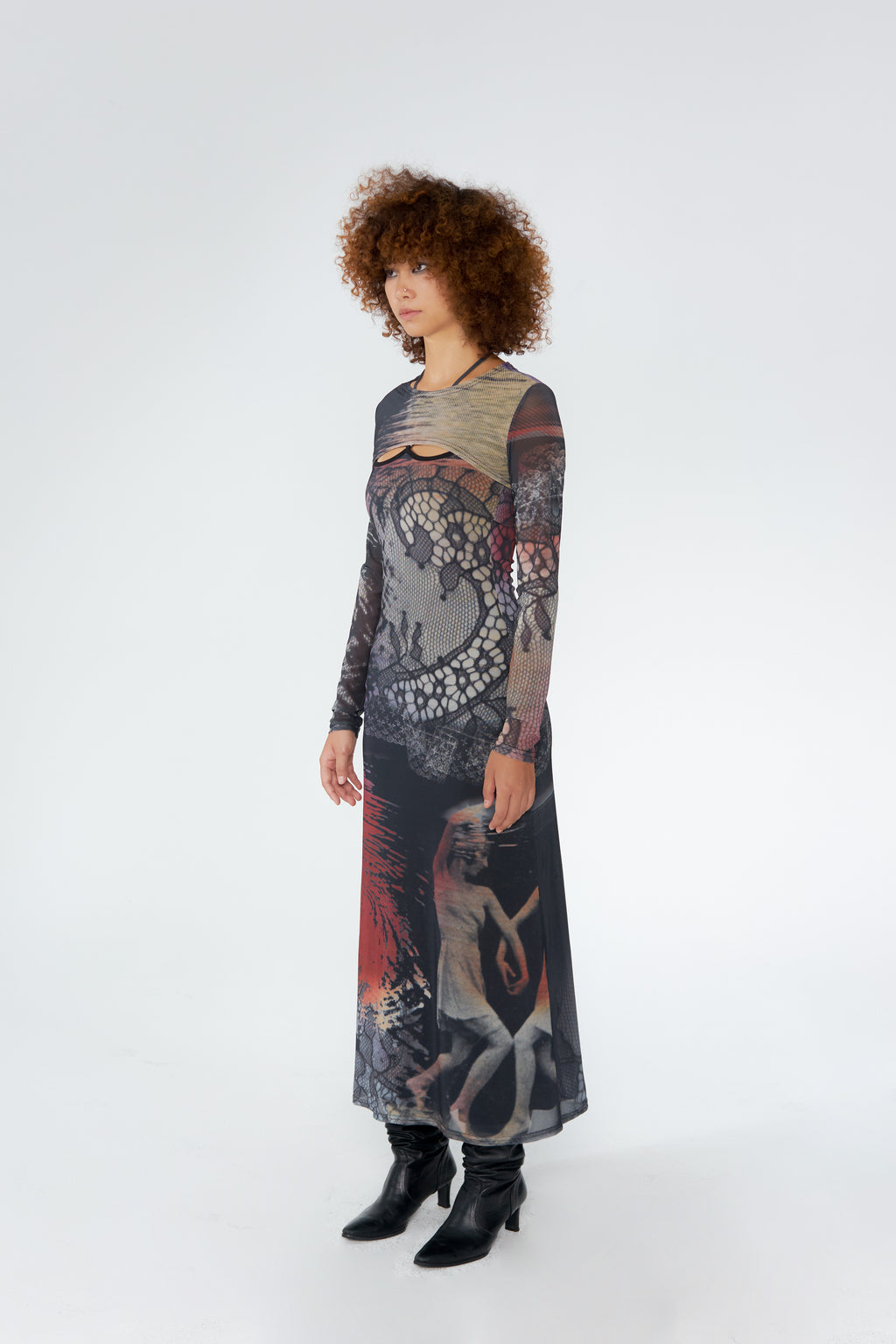 Swan Print Two-Piece Dress