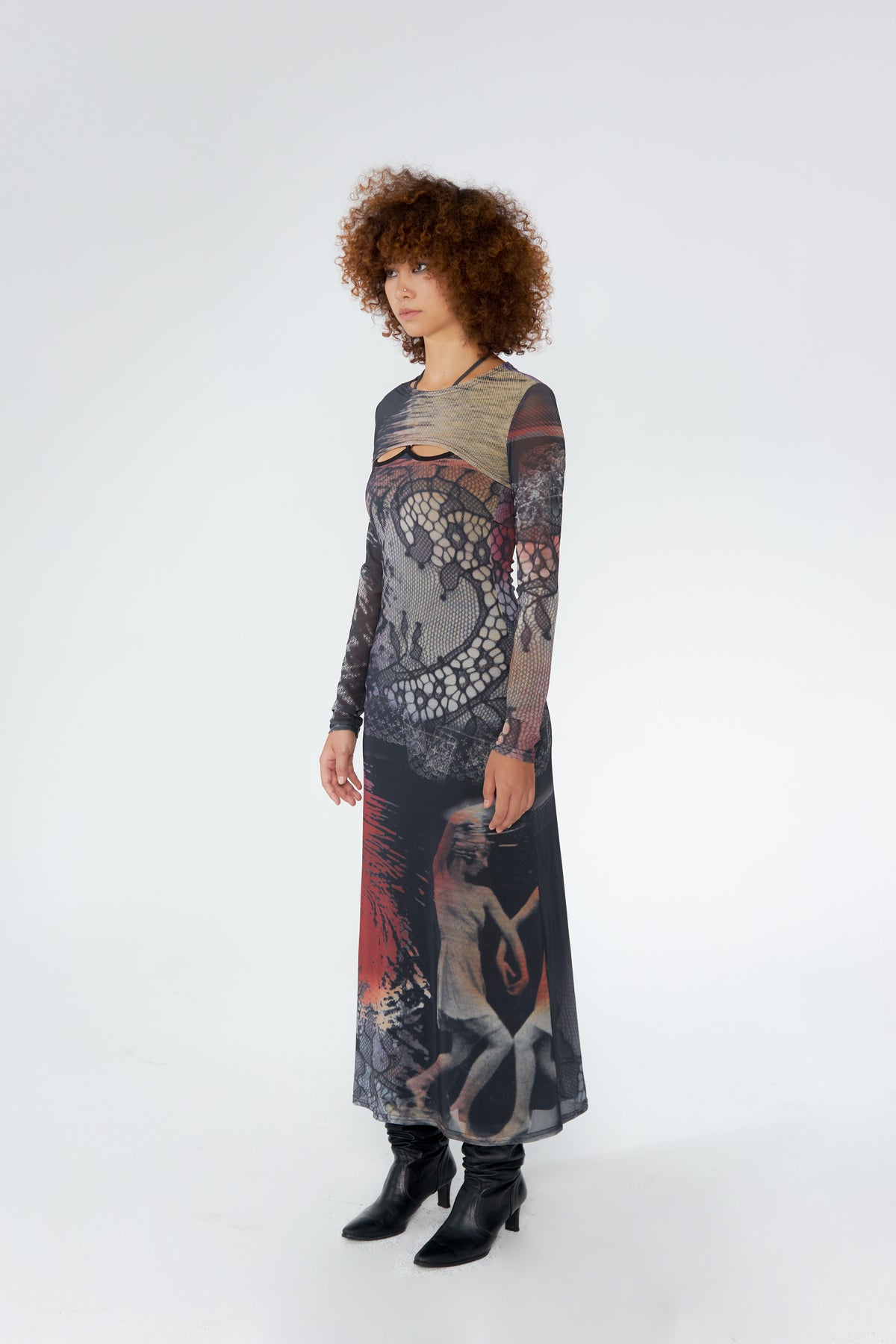 Swan Print Two-Piece Dress
